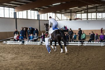 Bild 120 - Voltigierturnier